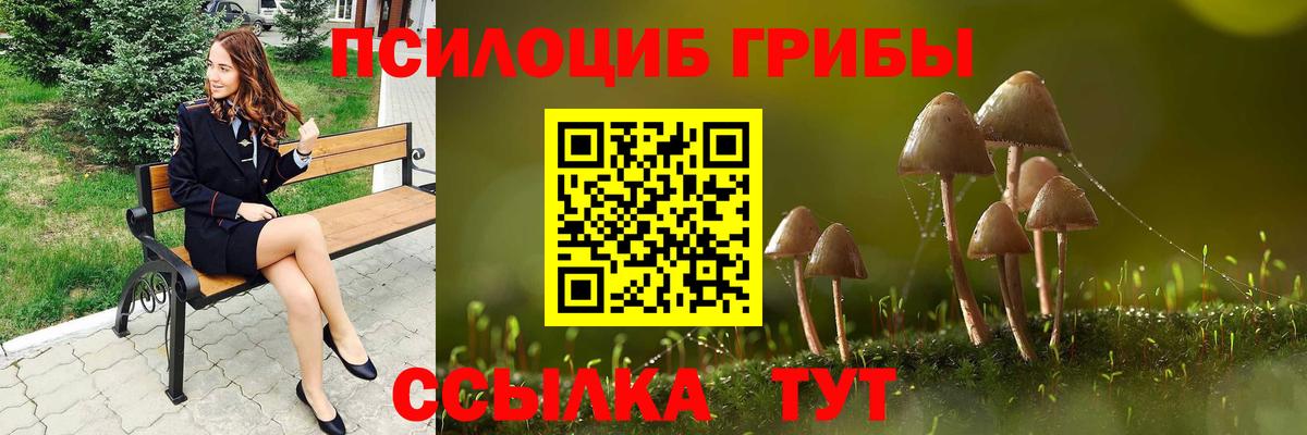 что такое   Псилоцибиновые грибы GOLDEN TEACHER  Вход с VPN  Тара 